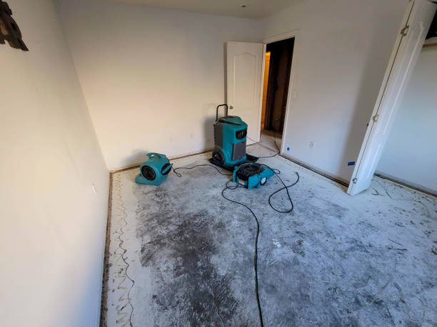Best Flood damage cleanup  in Rancho Santa Fe, CA