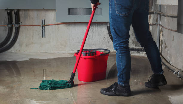 Best Fire Damage Restoration  in Rancho Santa Fe, CA