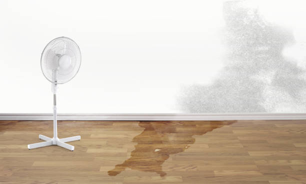 Best Water damage contractors near me  in Rancho Santa Fe, CA