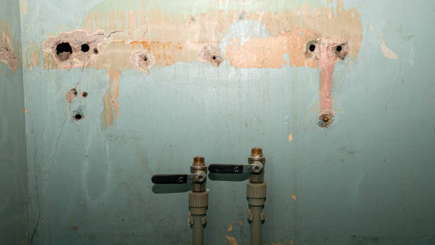Best Water damage restoration near me  in Rancho Santa Fe, CA