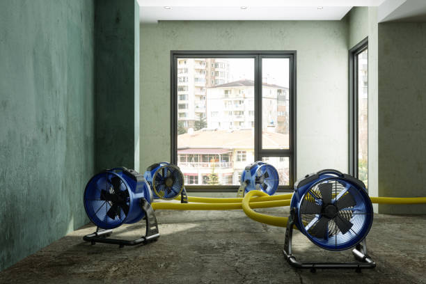 Best Professional water damage repair  in Rancho Santa Fe, CA
